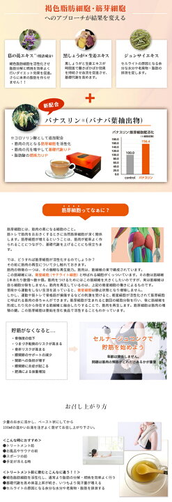 楽天市場】賞味期限2027年1月☆MAJOR マジョール エクシード EXSEEDS 