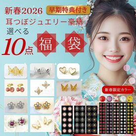 楽天1位！＜新春福袋＞耳つぼジュエリー【200粒の大福袋10点セット】＜選べる耳つぼジュエリー100粒＞耳つぼシール選べる100粒！耳つぼダイエット＜送料無料＞40代/50代/60代/女性/誕生日/プレゼント/耳ツボシール/
