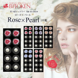 4{ȍ~oׁy V zڃWG[u[Y×p[v(10t)KN `^ ڃ_CGbg ip[ o } }OC c{/BITOKEN/veBV[Y