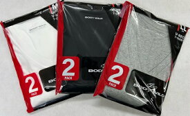 グンゼ BODY WILD VネックTシャツ（2枚組）天竺 3サイズ カラー3色 送料無料 プレゼント