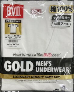 S[hY BVDA_[EGA[ V^Cv 