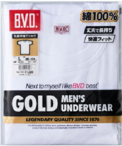 S[hY BVDA_[EGA[ ێ^Cv 