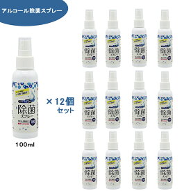 アルコール除菌スプレー　100ml　12個セット 3980以上 送料無料 Bitoway 【4573188328618】