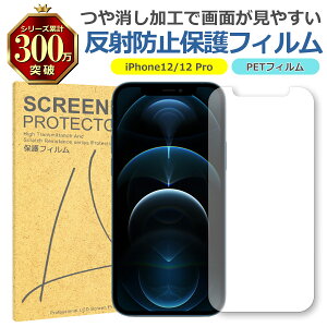 iPhone 12 12Pro ˒ጸ A`OA PET tB Apple Abv }bg  t ی V[g V[  LY  w h~ ʕی Ռz TT