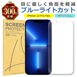 iPhone 13 Pro Max �u���[���C�g�J�b�g PET �t�B���� Apple �A�b�v�� ��� �t�� �ی� �V�[�g �V�[�� �� �L�Y ���� �w�� �h�~ ���ʕی� �Ռ��z�� �ڂɗD����