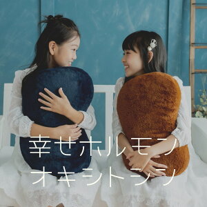 抱き枕 クッション インテリア おしゃれ プレゼント 読書 柔らか素材 父の日 車 ドライブ おうち時間 ステイホーム