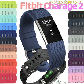 Fitbit 2