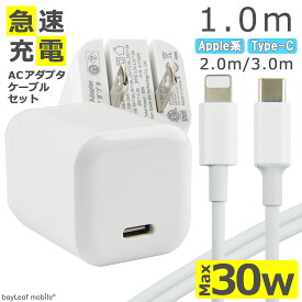 PD 充電器 タイプC 30W ケーブル セット 急速充電 USB Type-C QC2.0 QC3.0 Power Delivery対応 AC アダプタ 電源 充電 折りたたみ コンセント iPhone iPad スマホ タブレット Android 各種対応 コンパクト 旅行 PSE認証 1m 2m 3m