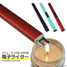 【SNSで紹介されました♪】電子 ライター USB 充電式 プラズマ アーク 点火 無炎 防風 スリム アロマ キャンドル 便利 アウトドア BBQ キャンプ ローソク 線香