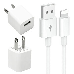 USB d A_v^ iPhone P[u 1.0m [d Zbg Type-C AC [d ܂肽 RZg iPad X}z ^ubg Android eΉ 1|[g RpNg s PSEF