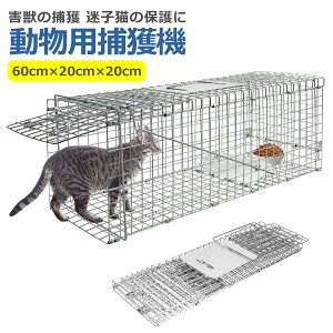  ߊl 60cm×20cm×20cm  ol ȒPg gbv JS Lb`[ ی 쏜   ƒ؉ q L    쐶 Qb