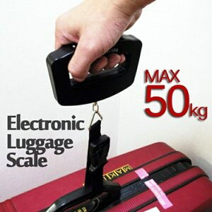 fW^QbWXP[ 50Kg܂ ނ ` obQ[WXP[ gxXP[ iC xg ܋@\t