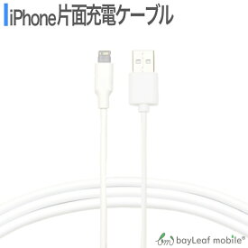 iPhone SE3(第3世代) iPhone8 8Plus iPhone7 iPhoneSE iPhone6s USB 充電ケーブル コード USBケーブル 1m 100cm 充電器 データ通信 アイフォン アイホン
