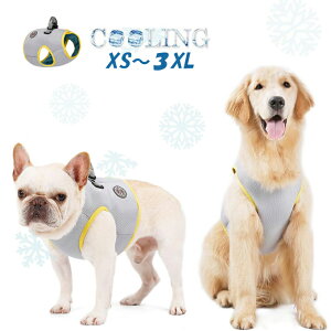 ySiP5{+MAX1,000~OFFz݌Ɍ̔   ĕ EE^p pWPbg  ⊴ N[xXg t p p hbOEFA g[jO U M