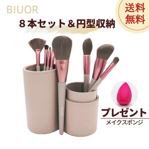 BIUORy^NїʂՂ 8{CNuVZbg ^CNuV[P[Xtz_炩 gѕ֗  σuV 킢 20 30 40 50 ̓ j zCgf[ l