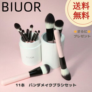 BIUOR SHINEV[Yy^N 11{CNuVZbg ^CNuV[P[Xtz_炩  σuV 킢 20 30 40 50 ̓ j zCgf[ lj NX