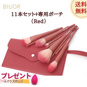 yr[Ly[{zBIUOR LollipopV[Y 11{CNuVZbg bh iCNuV ACVhEEpE_[Et@f[VΉ PUU[|[`t ϕMZbg 