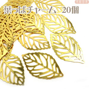 `[@tσ`[ S[hF 20 / ͂ [t ܂ݍ׍H@ԁ@p[c |