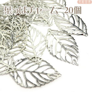 `[@tσ`[ Vo[F 20 /͂ [t ܂ݍ׍H@ԁ@p[c |