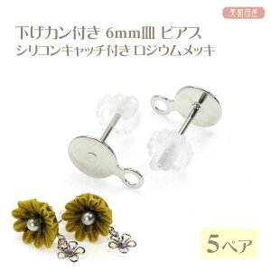 Jt 6mmM sAX VRLb`t WEbL 5yA b ܂ݍ׍H WANZT[ sAX \t  |