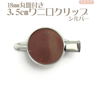 18mmێMt3.5cmjO`Nbv Vo[ | wANbv wA y W ܂ݍ׍H |