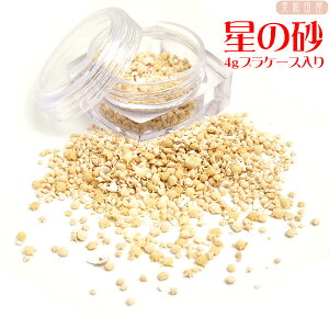 X[p[Z[zI̍@4gvP[X@/n[oE@W@VR@ā@C@@nhCh@|