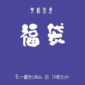 ����6�@10���Z�b�g ��z����߂�@���@�y20cm×30cm�z�A�C�����s�v�@�܂ݍ׍H�p�J�b�g����߂�@|�@�k�ɍ׍H �܂ݍ׍H�z �a�z ���n ���� ��|