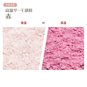 T[痿@ԁixŐFς郌WF痿j b W ϐF  J[`FW t h lC nhCh ANZT[