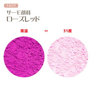 T[痿@[Ybh@ixŐFς郌WF痿j | W@ϐF@@J[`FW@tށ@h@lC@|@nhCh ANZT[