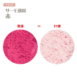 T[痿@ԁ@ixŐFς郌WF痿j | W@ϐF@J[`FW@tށ@|@nhCh