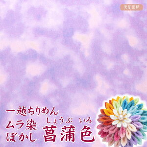 z߂@ڂ@ҊF@y20cm×30cmz@ACsv@܂ݍ׍HpJbg߂ b kɍ׍H S ޗ ܂ݍ׍Hz az n PF z  |