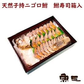 天然子持ニゴロブナ　鮒寿司(ふなずし)4300箱入
