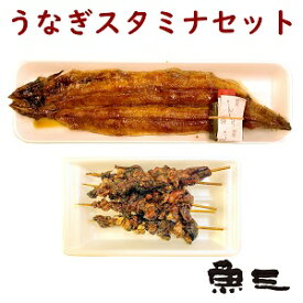 新仔・国産活うなぎ焼　1尾 + 鰻肝串5本