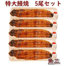 国産活うなぎ焼　5尾（蒲焼・白焼　選択可）焼きたて当日冷蔵発送