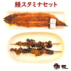 鰻スタミナセット 鰻焼1尾 + 鰻肝串2本