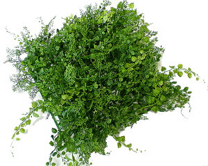 lHŁ@AWA^~bNX[t}bg (2)( lH  Ő O[ DIY ǖʑ OgpOK)