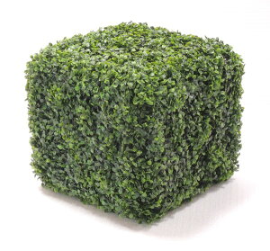 IuWF 29cm ({bNXEbh cQ XNGA  ϗtA A CeA O[ u lp )