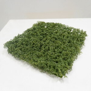 tFCNO[ lH XK[f}bg (3) (_[NO[) (     Ő OgpOK O[ DIY x_  ǖʑ)