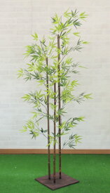 楽天市場 竹 鉢植えの通販