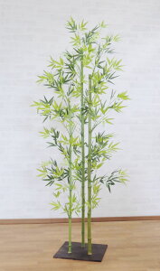 観葉植物 和風の人気商品 通販 価格比較 価格 Com