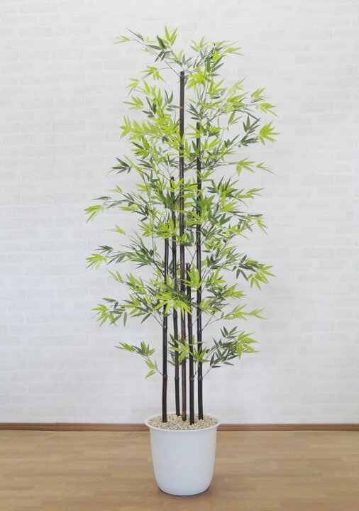 楽天市場 黒竹 180cm 5本立て 人工観葉植物 造花 人工樹木 フェイクグリーン 和風 日本風 1 8m バンブー 鉢植え タケ 造花 観葉植物専門店ビワールデコ