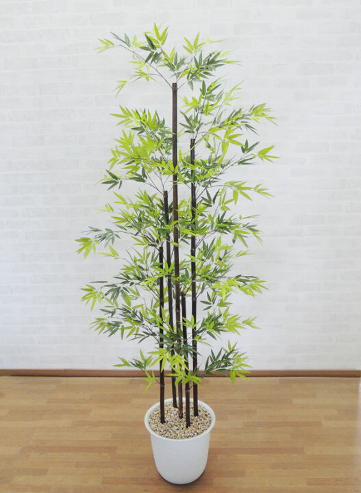 楽天市場】黒竹 180cm 5本立て (人工観葉植物 造花 人工樹木 フェイクグリーン 和風 日本風 1.8m バンブー 鉢植え タケ) : 造花観葉植物専門店ビワールデコ