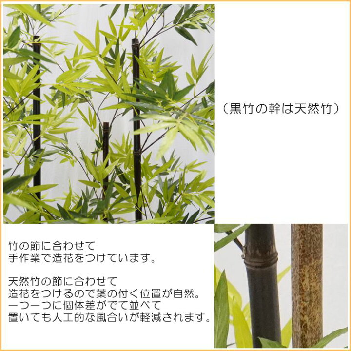 楽天市場】黒竹 8本立 パーテーション 210cm (人工竹 くろちく 人気 