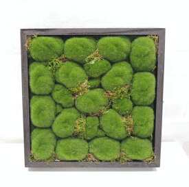 壁面 造花 ディスプレイ モコモコ (ウォールグリーン 苔 インテリア 人工 観葉植物 造作 壁掛け おしゃれ 室内 ディスプレイ)