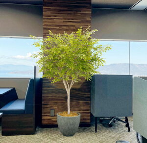 シマトネリコの木 ライトグリーン 200cm (フェイクグリーン 特大 インテリア お洒落 リアル 人工観葉植物 造花 樹木 造木 室内 装飾 2m オフィス シンボルツリー 自作 植栽 業者 メーカー ベス