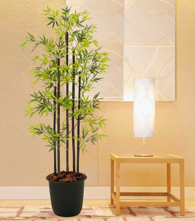 楽天市場】黒竹 180cm 5本立て (観葉植物 フェイク 人気 造花 くろちく 