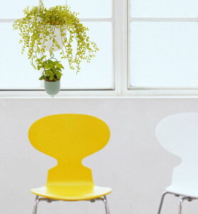 nMO O[ G C[vc ~g ( tFCNO[ ݂艺 ݂邷 CeA ~j   fBXvC V{c[  A Ǝ [J[ xXgO[