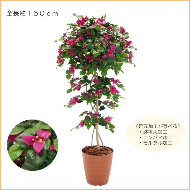 楽天市場】ブーゲンビリア 150cm (フェイクグリーン 人工観葉植物 造花 