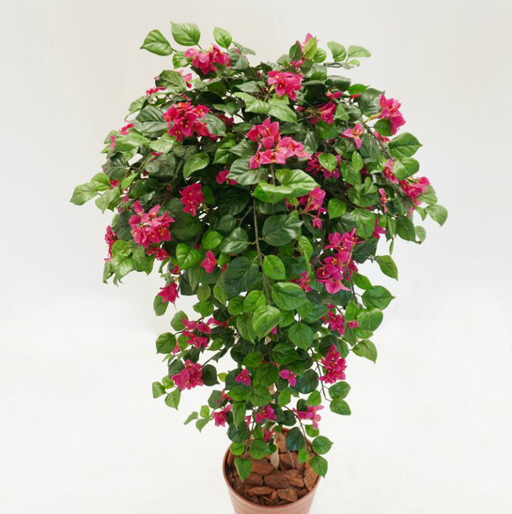 楽天市場】ブーゲンビリア 150cm (フェイクグリーン 人工観葉植物 造花 
