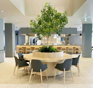 VFt 240cm (tFCNO[  J|bN cs^TX CeA ^   lH ϗtA 蕨  fBXvC X 2.4m ItBX V{c[  A Ǝ 